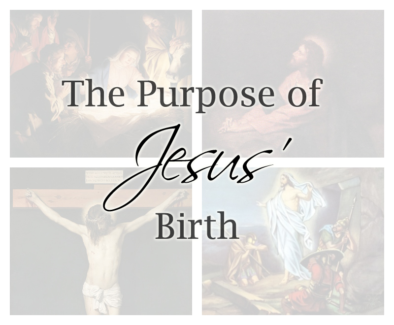 The Purpose of Jesus' Birth