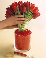 Candy Tulip Bouquet