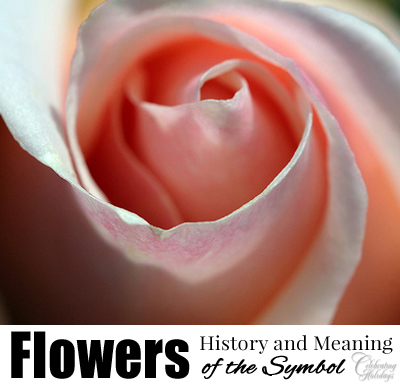 Flowers (The History of the Valentine's Day Symbol)