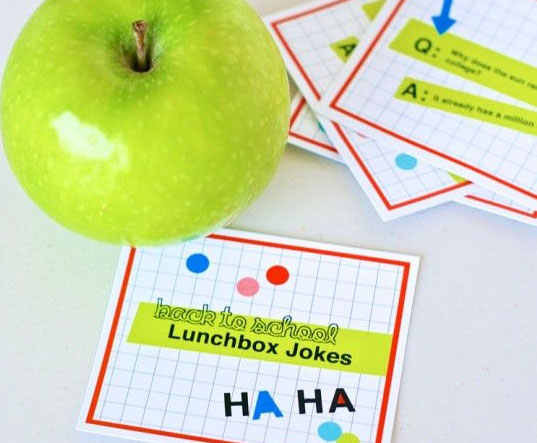 Lunchbox Jokes