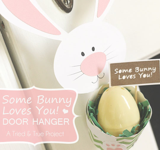 Some Bunny Loves You Door Hanger