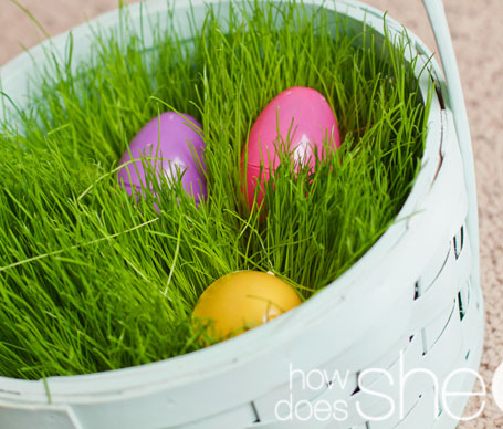 Grow Your Own Grass Easter Basket