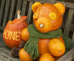 Teddy Bear Pumpkin