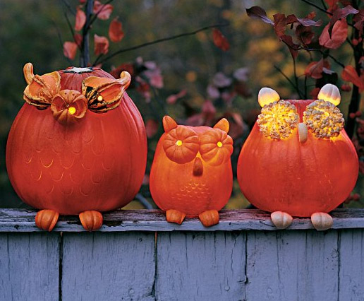 Owl Pumpkins
