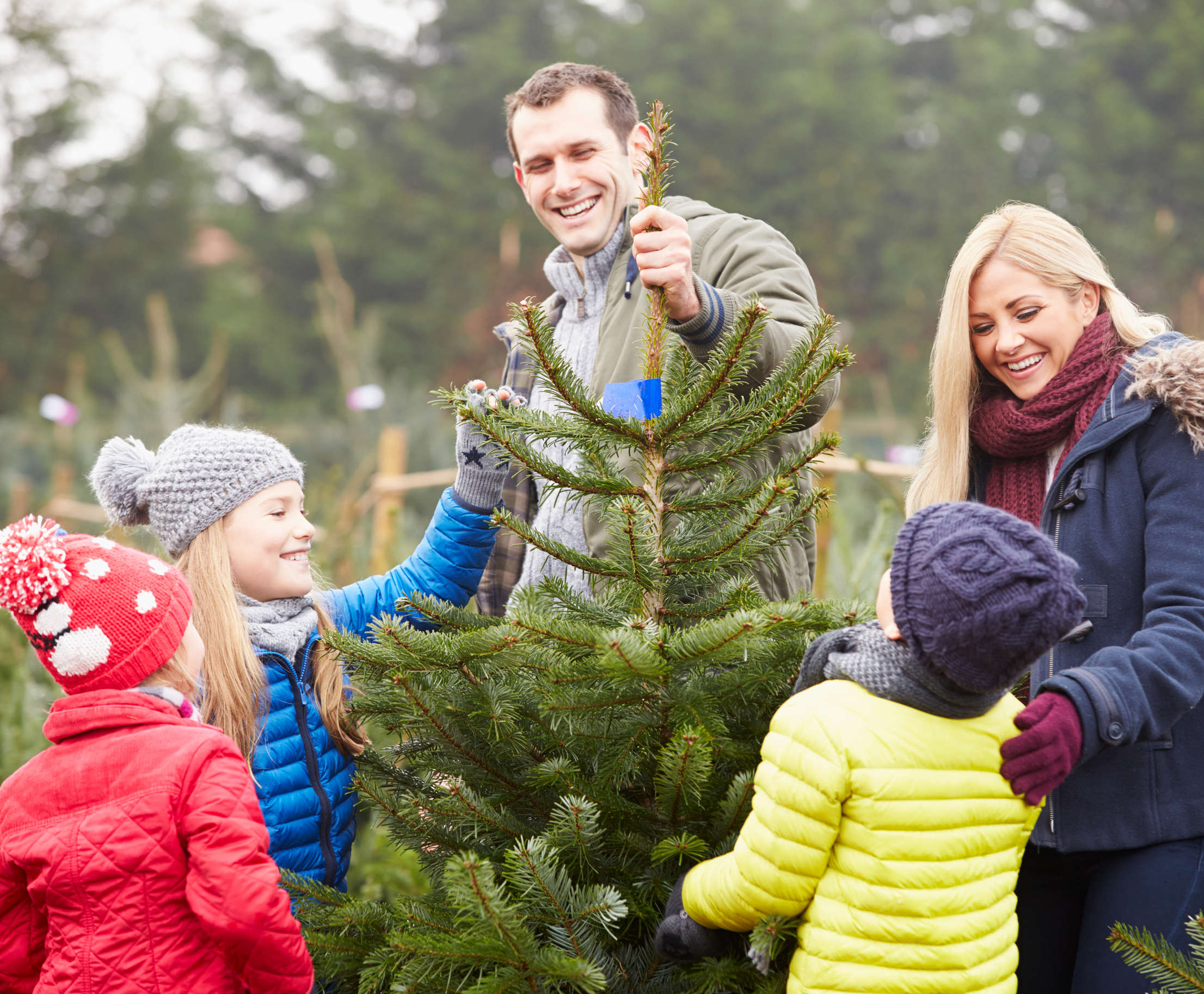 Christmas Tree Traditions