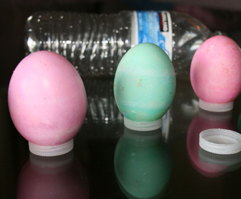 Bottle Caps for Drying Eggs