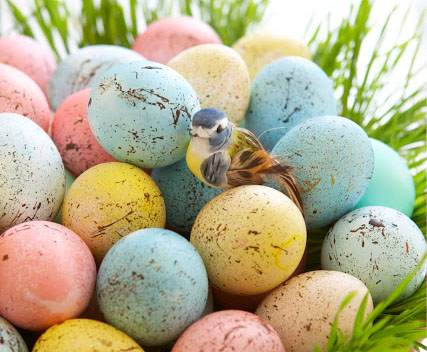 Speckled Eggs