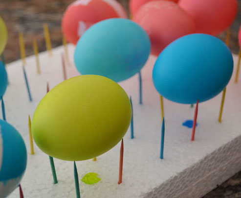 Styrofoam Toothpick Rack to Dry Eggs