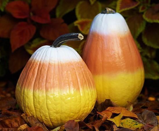 Candy Corn Pumpkins