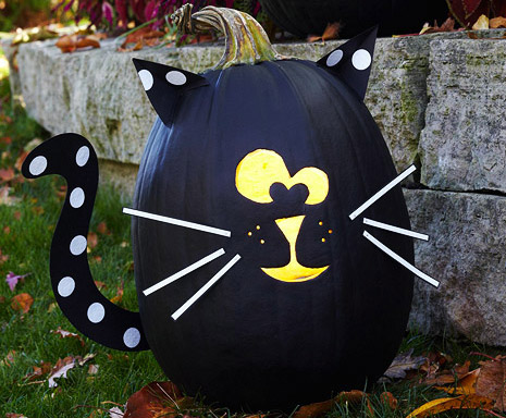 Cat Pumpkin