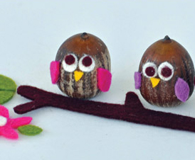 Owl Acorns