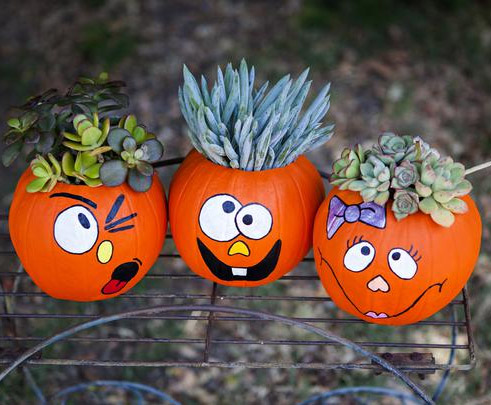 Plant Hair Pumpkins