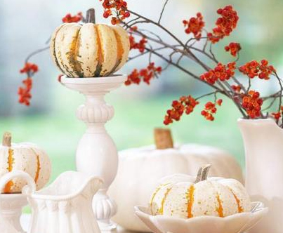 Elegant White Pumpkins