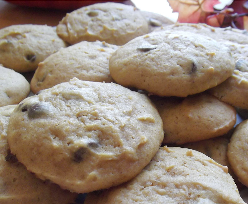 Pumpkin Chocolate Chip Cookies