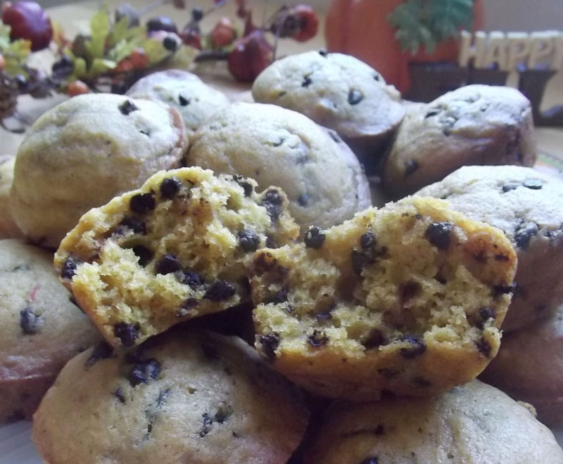 Pumpkin Chocolate Chip Muffins