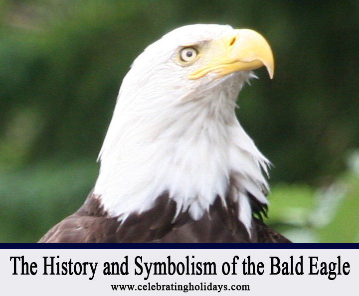 symbolbaldeagle