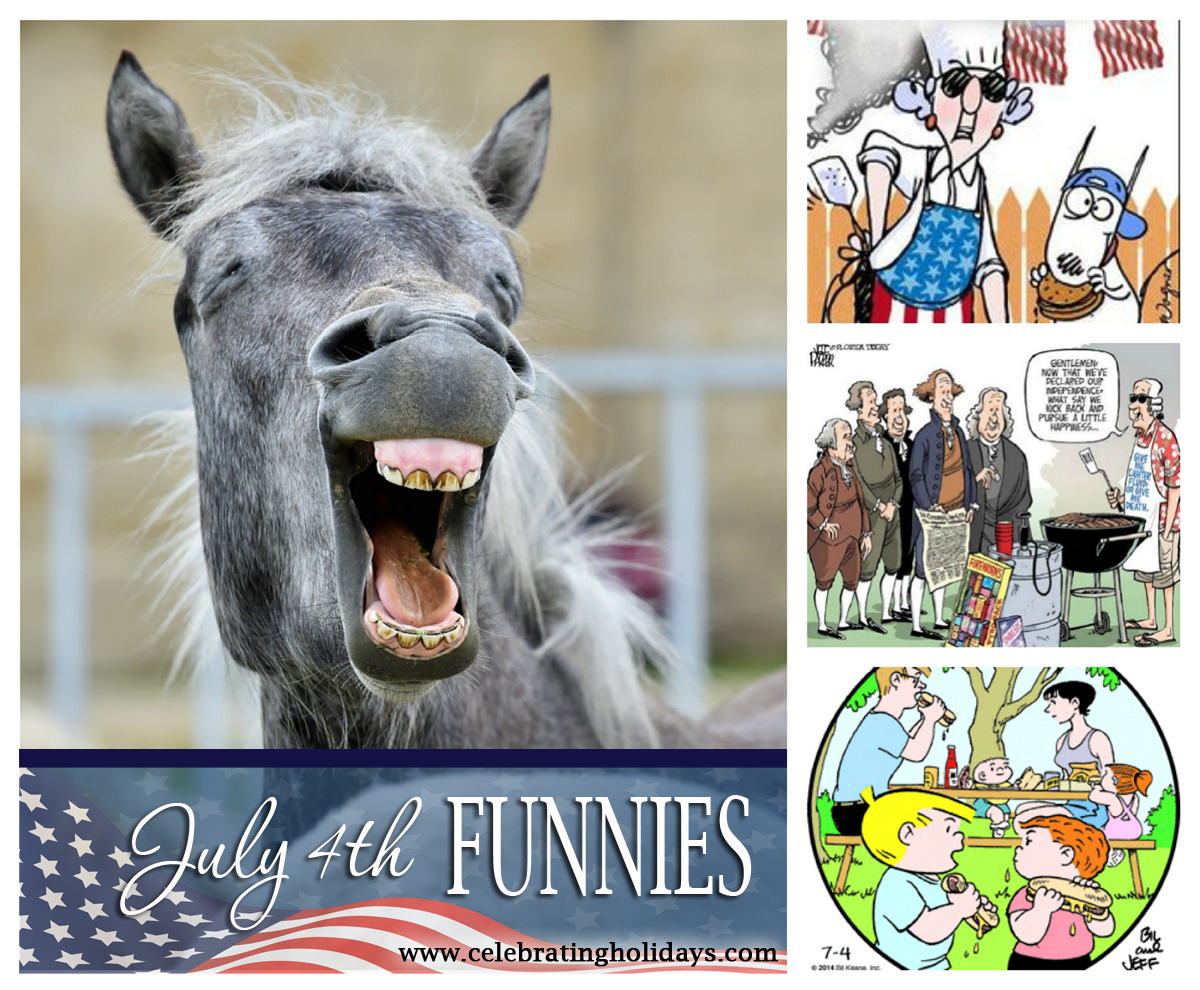 july4funnycollagea